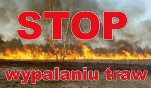 Miniaturka artykułu Apel Komendy Powiatowej Państwowej Straży Pożarnej w Łukowie w sprawie zakazu wypalania trawy