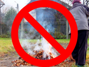 Miniaturka artykułu Zakaz palenia liści i usuniętych gałęzi